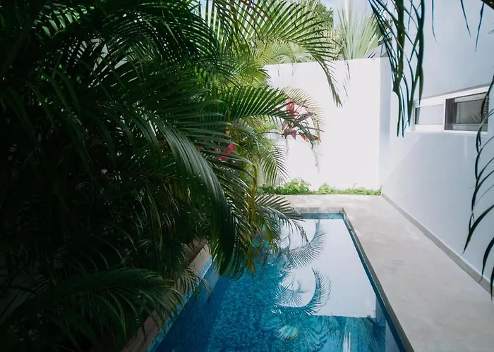 Casa Amplia Con Alberca Y Roof Garden Playa del Carmen